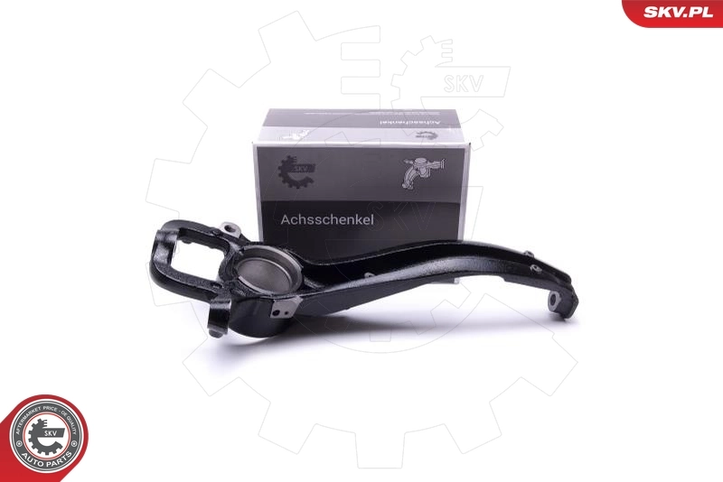 Steering Knuckle, wheel suspension